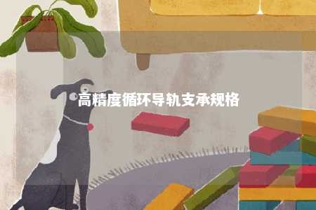 高精度循环导轨支承规格 